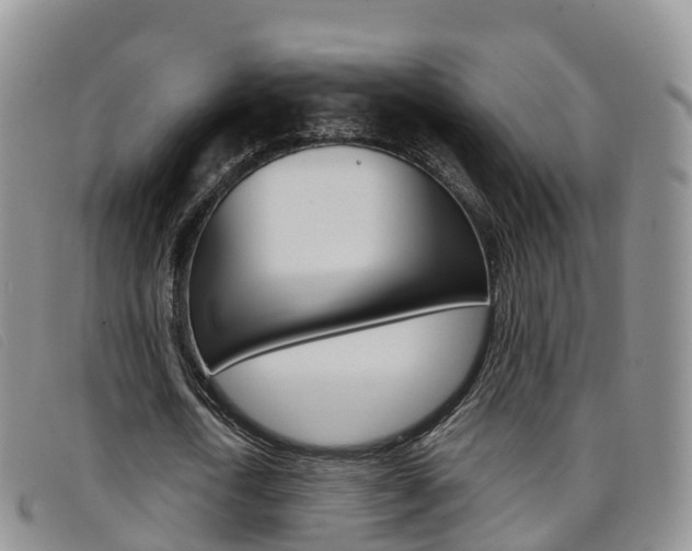 X0000096720722200802051059