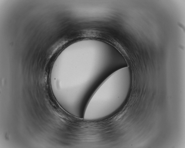 X0000096720723200802051059