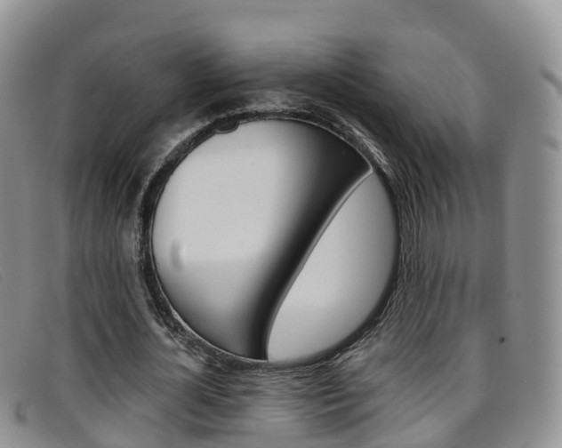 X0000096720724200802051059