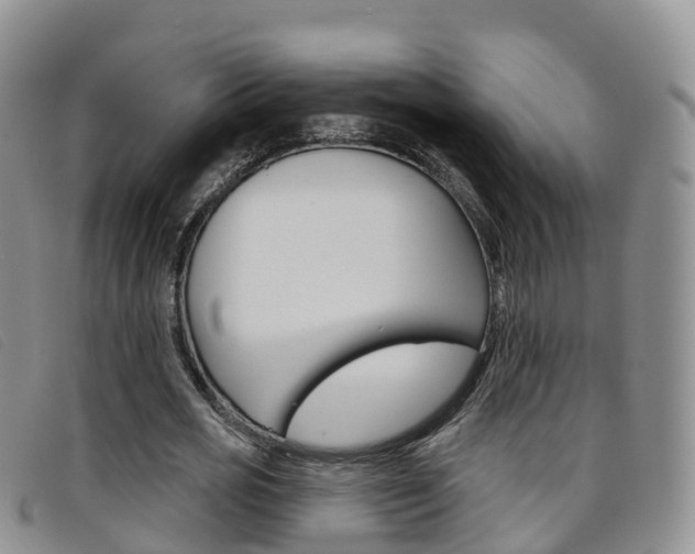 X0000096720725200802051059