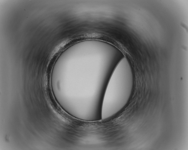X0000096720726200802051059