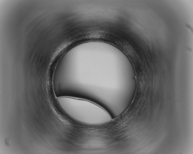X0000096720728200802051059