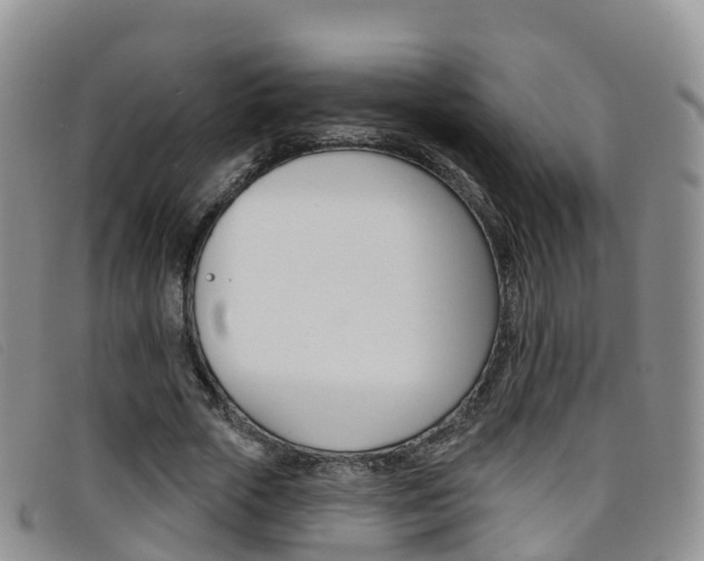 X0000096720729200802051059