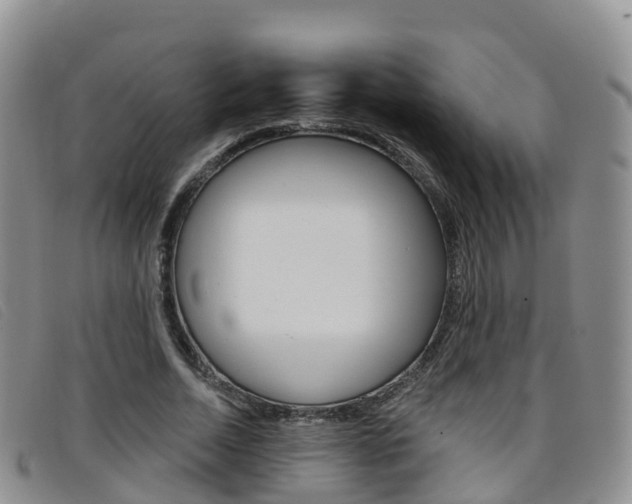 X0000096720730200802051059