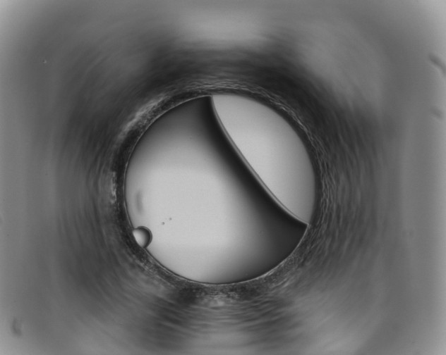 X0000096720731200802051059