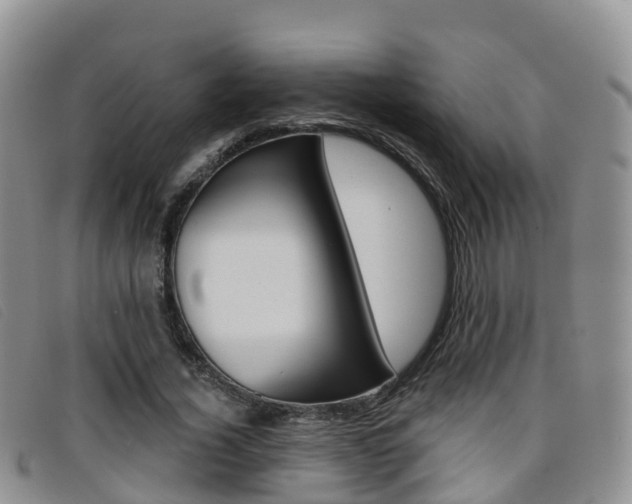 X0000096720732200802051059