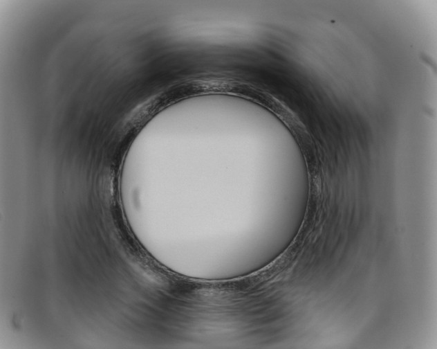 X0000096720733200802051059