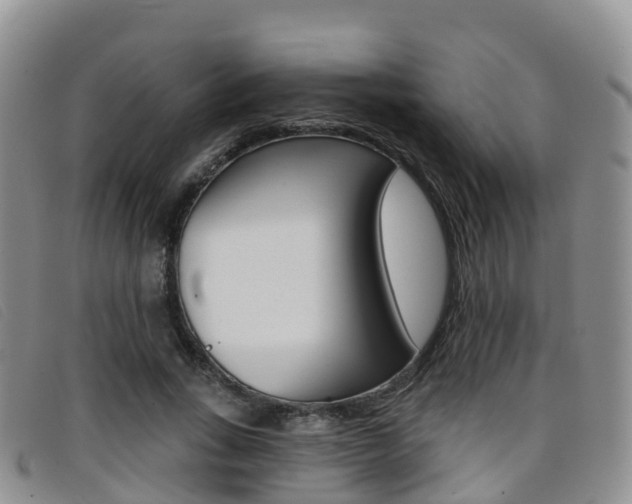 X0000096720735200802051059