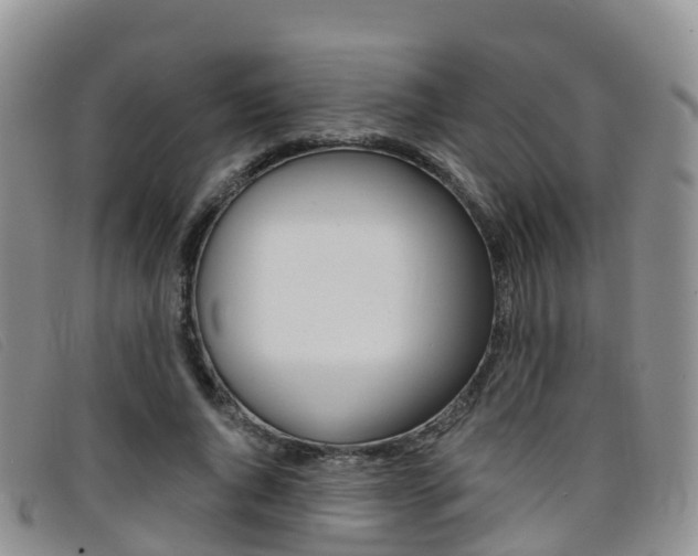 X0000096720736200802051059