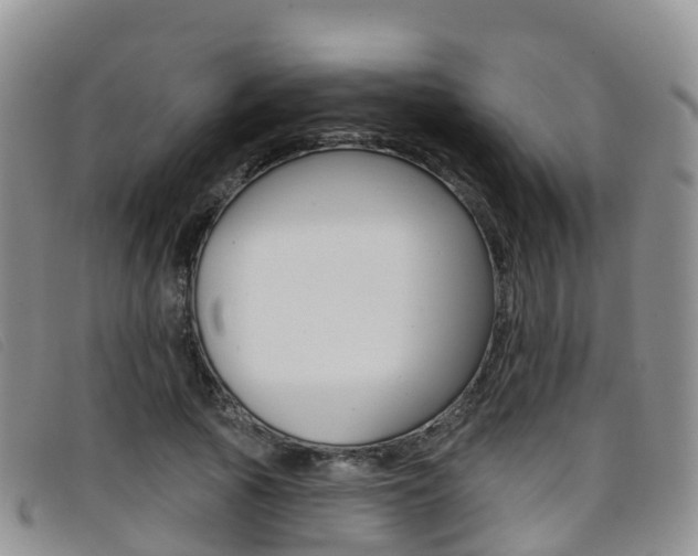 X0000096720737200802051059