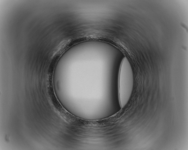 X0000096720738200802051059
