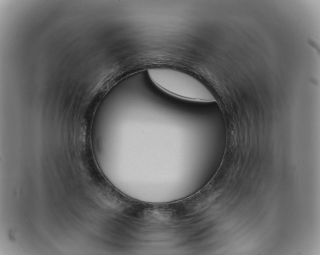 X0000096720739200802051059