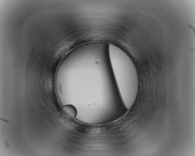 X0000096720740200802051059