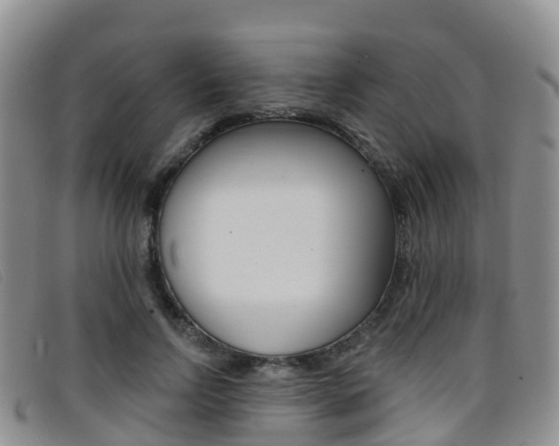 X0000096720742200802051100
