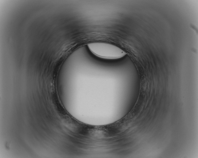 X0000096720743200802051100