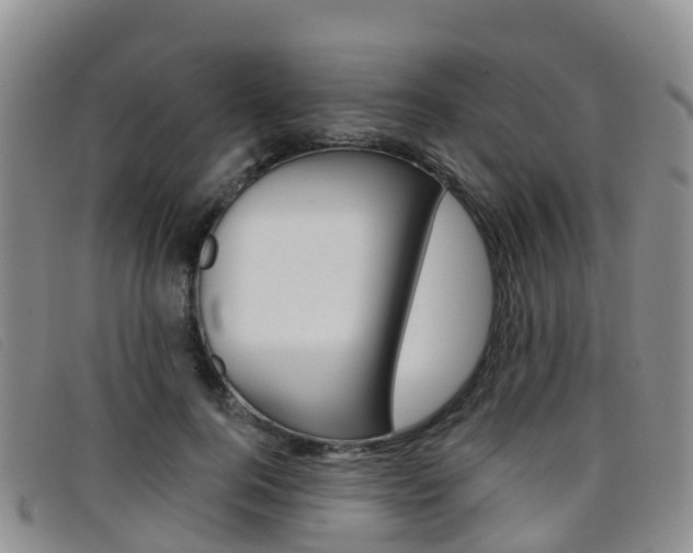 X0000096720744200802051100