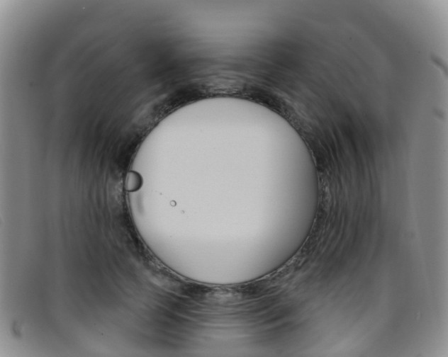 X0000096720745200802051100