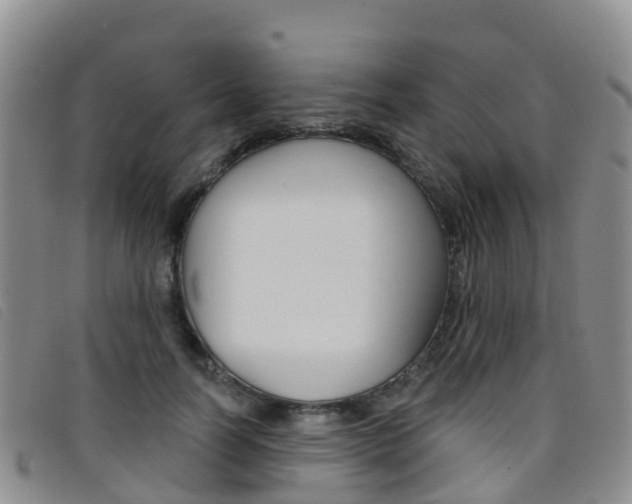 X0000096720746200802051100