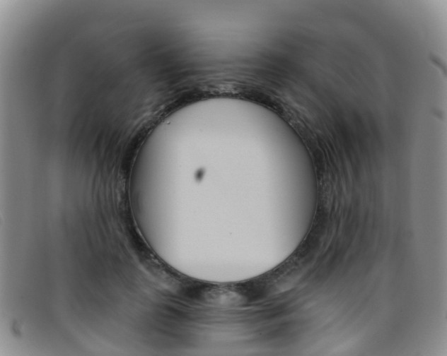 X0000096720747200802051100