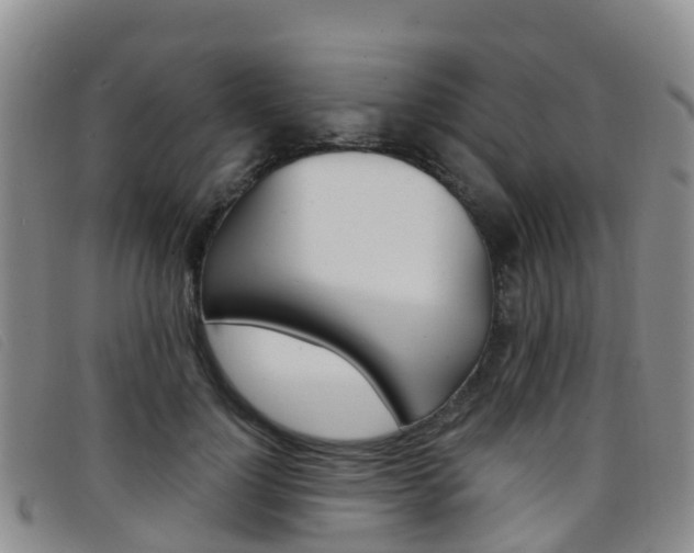 X0000096720748200802051100