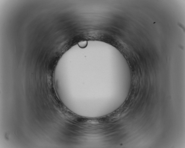 X0000096720749200802051100