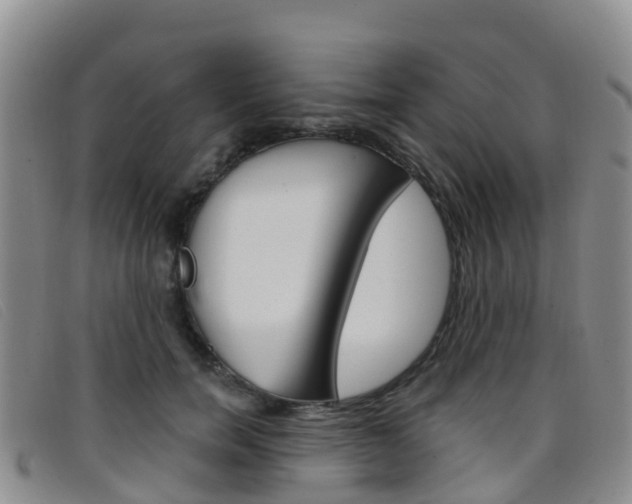 X0000096720750200802051100