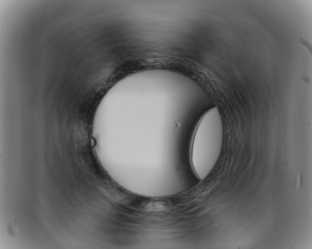 X0000096720751200802051100