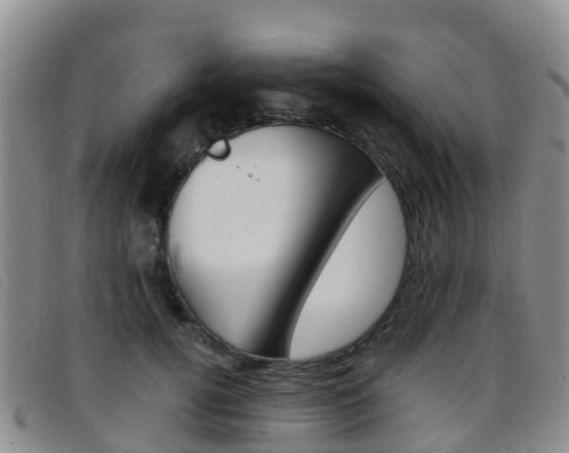 X0000096720752200802051100