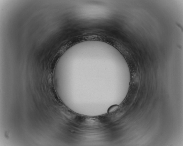 X0000096720753200802051100
