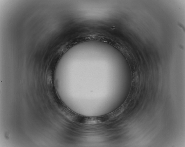 X0000096720754200802051100