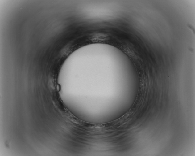 X0000096720755200802051100