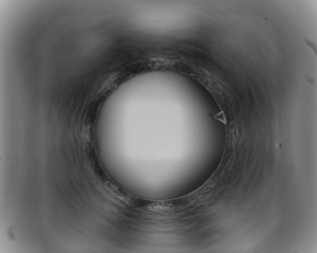 X0000096720756200802051100