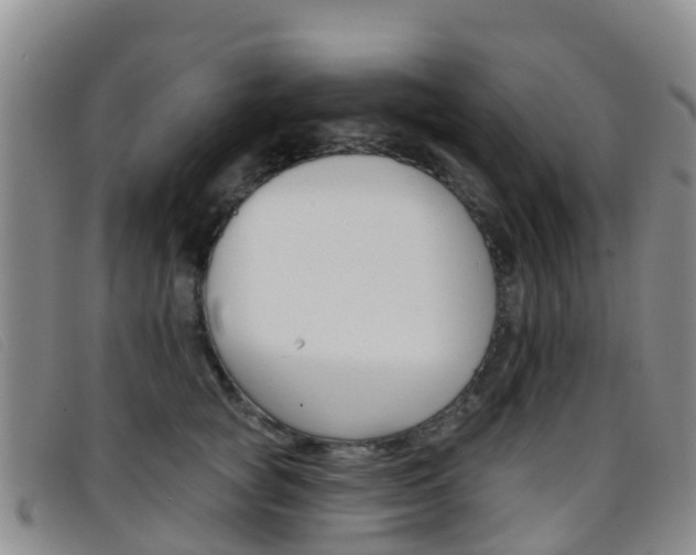 X0000096720757200802051100