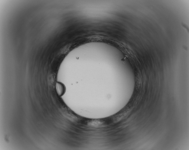 X0000096720759200802051100