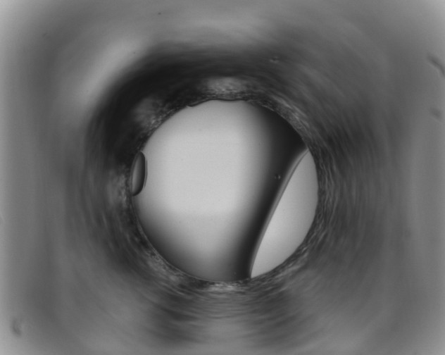 X0000096720762200802051100