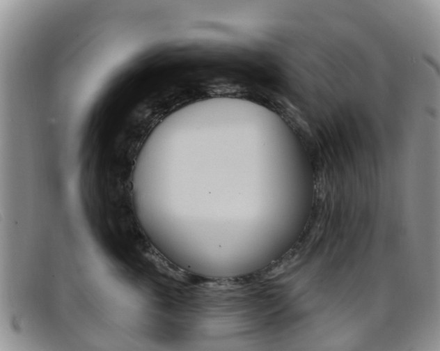 X0000096720763200802051100