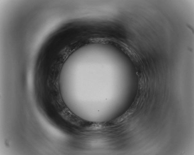 X0000096720764200802051100