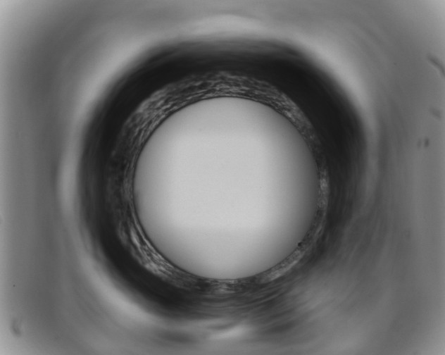 X0000096720765200802051100