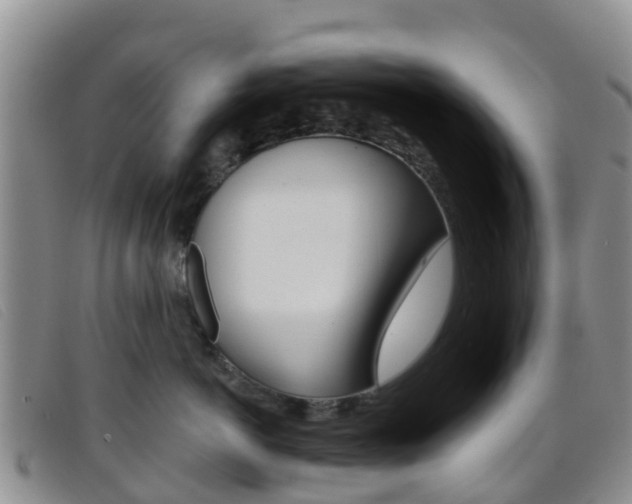 X0000096720766200802051100