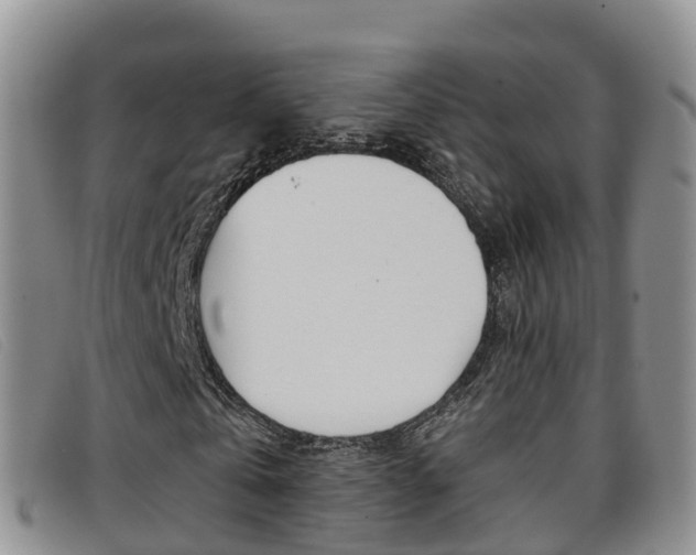 X0000096720769200802051059