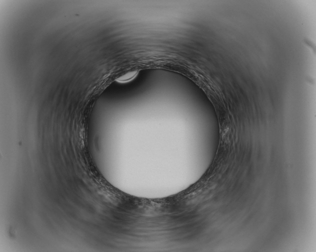 X0000096720772200802051059