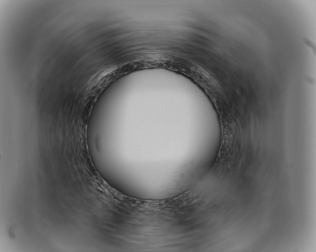 X0000096720773200802051059