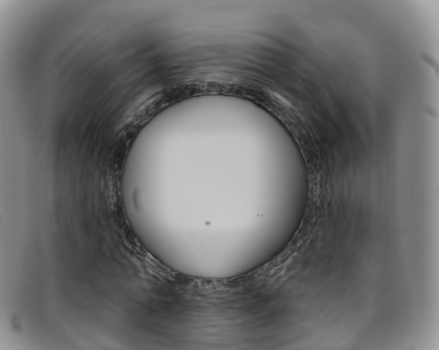 X0000096720774200802051059