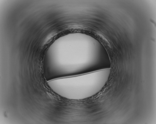 X0000096720775200802051059