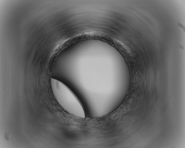 X0000096720776200802051059