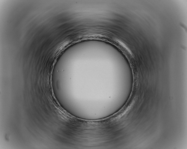 X0000096720777200802051059