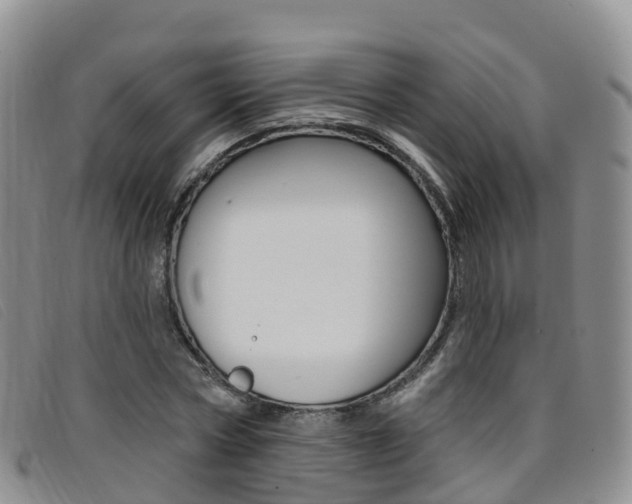 X0000096720778200802051059