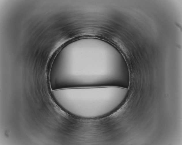 X0000096720779200802051059