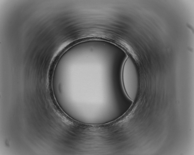 X0000096720780200802051059