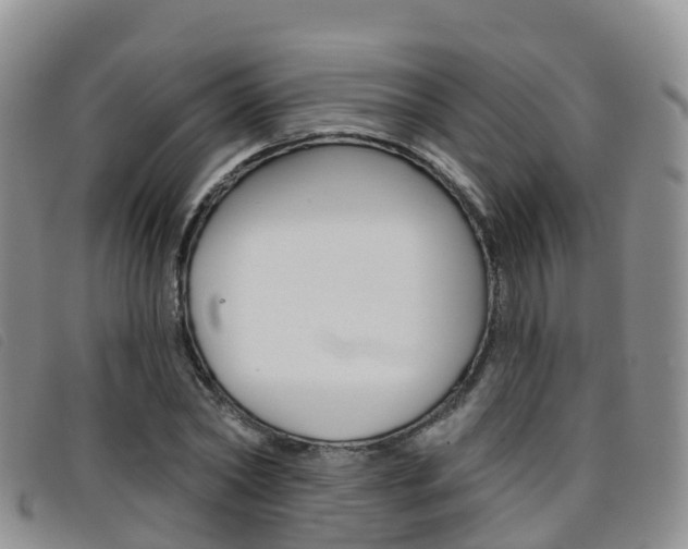 X0000096720782200802051059